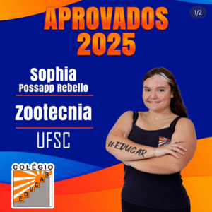 Aprovados 2025 01